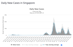 防疫转向一年半后 新加坡怎么样