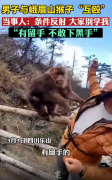 当事人回应和峨眉山猴子练搏击互殴