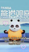 四川人把熊猫拉去做主播了