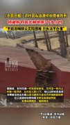 农民日报评村民私自建桥被判刑