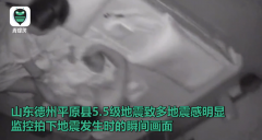 地震瞬间:鸭跑狗跳货架倒