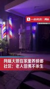 大妈在家中养蟑螂