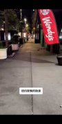 纽约老鼠泛滥成灾