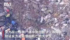 日本一棕熊尸体内发现人