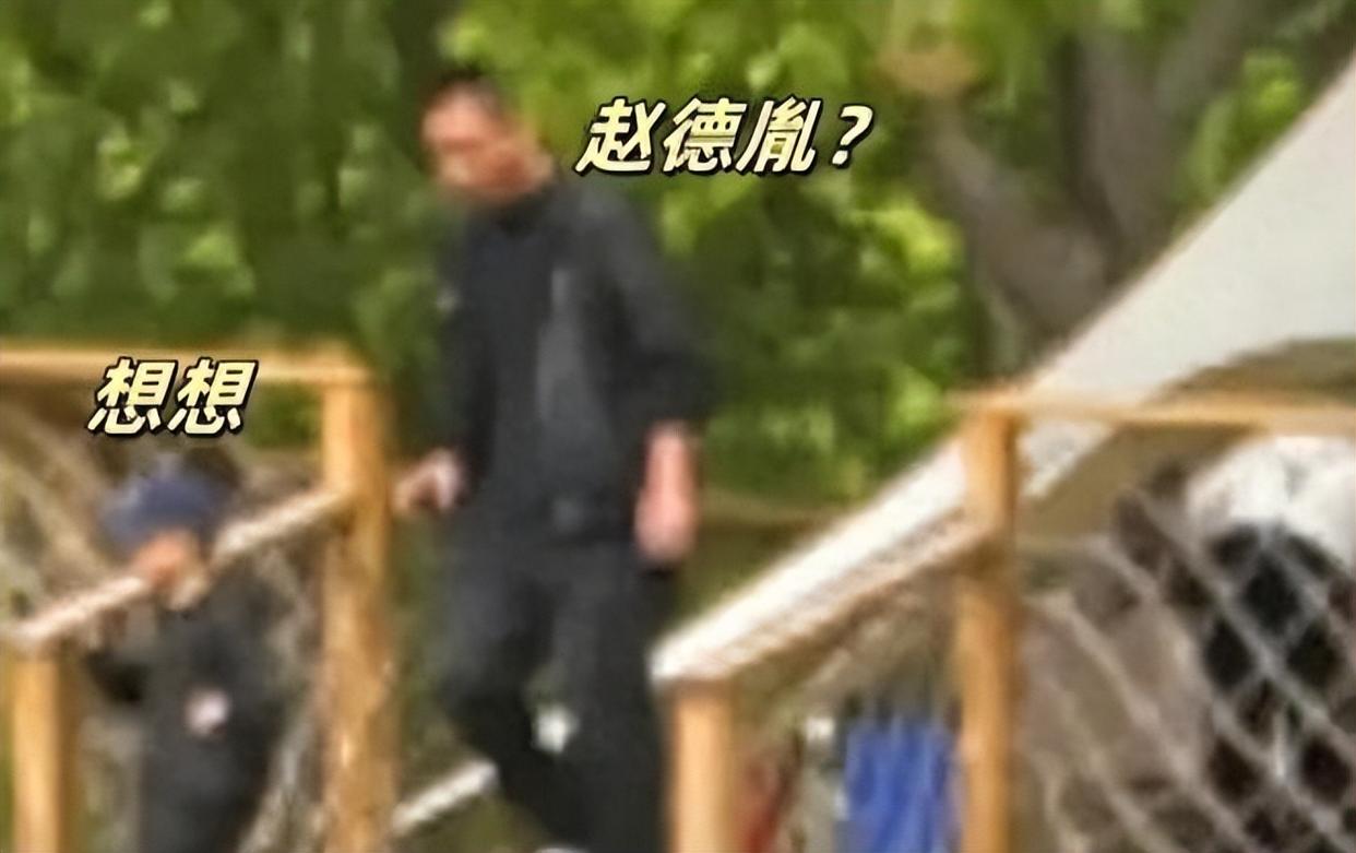 赵丽颖新恋情曝光
