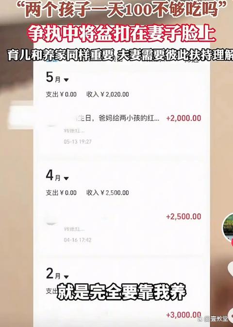 男子质疑妻子两个孩子1天100不够吗