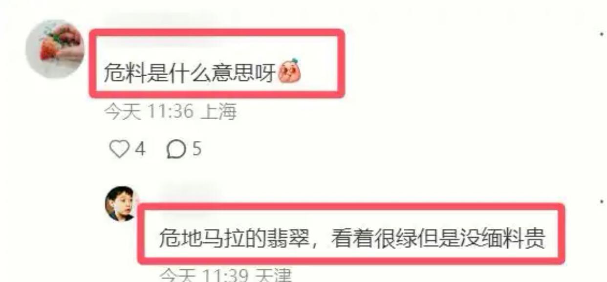刘晓庆戛纳翡翠疑云：举报人揭开背后真相