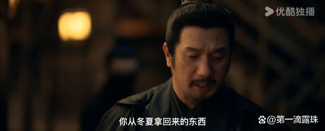 藏海传：优缺点并存的深度解析
